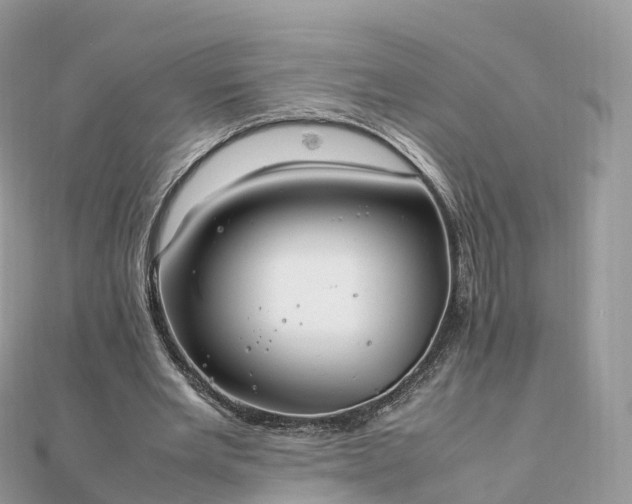 X0000111850485200907301113