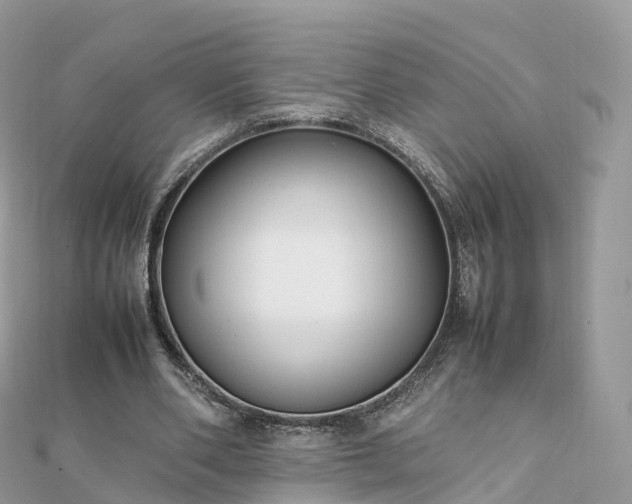 X0000111850486200907301113