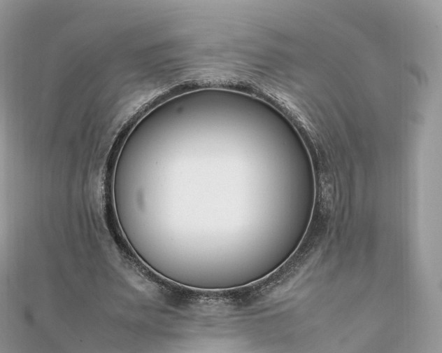 X0000111850487200907301113