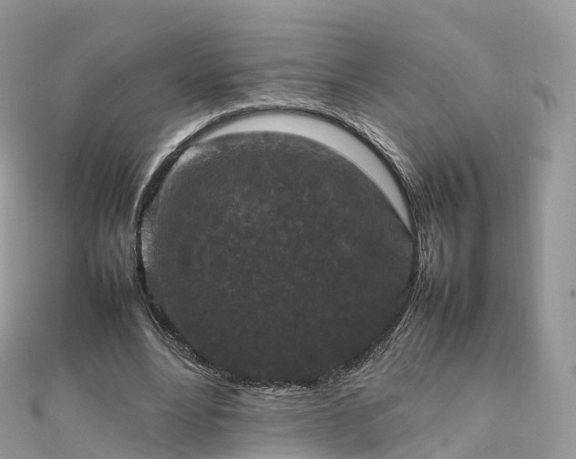 X0000111850488200907301113