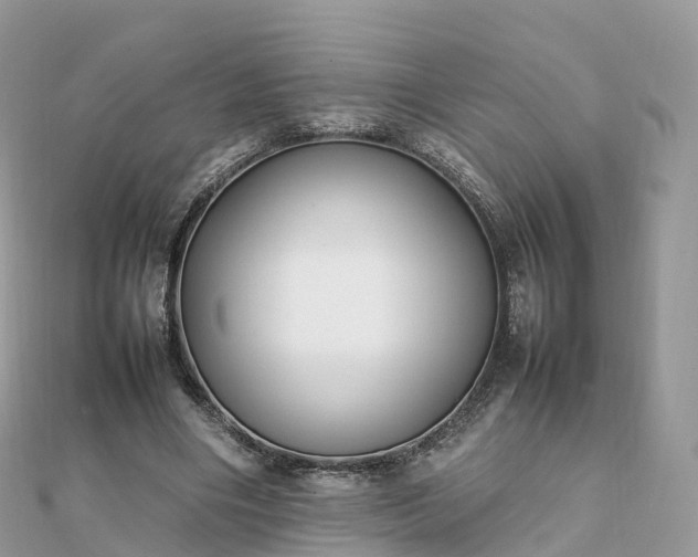 X0000111850490200907301113