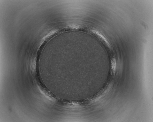 X0000111850492200907301113