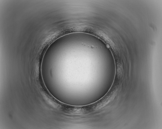 X0000111850493200907301113