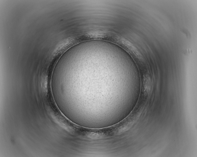 X0000111850494200907301113