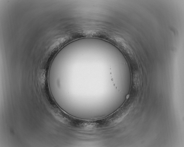 X0000111850495200907301113