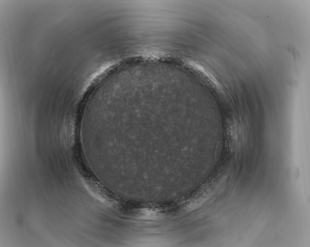 X0000111850496200907301113
