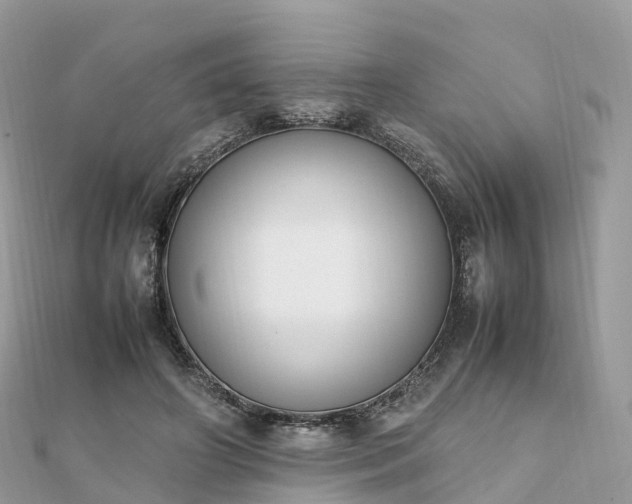 X0000111850498200907301113