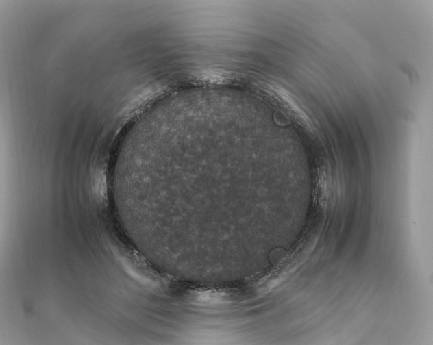 X0000111850500200907301113