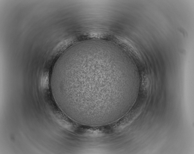 X0000111850502200907301113
