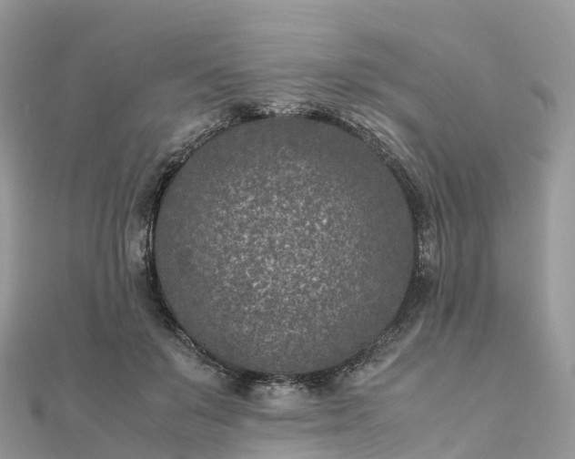 X0000111850503200907301113