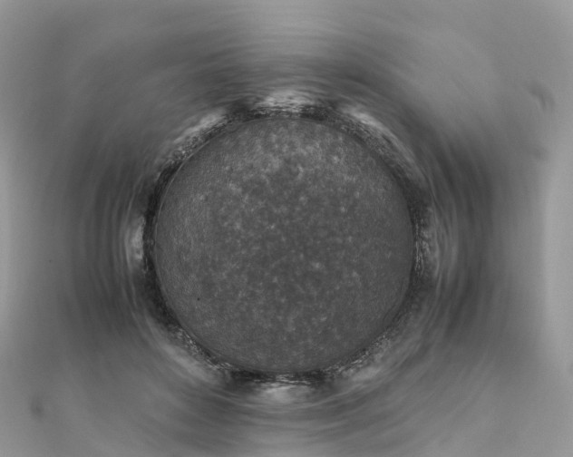 X0000111850504200907301113