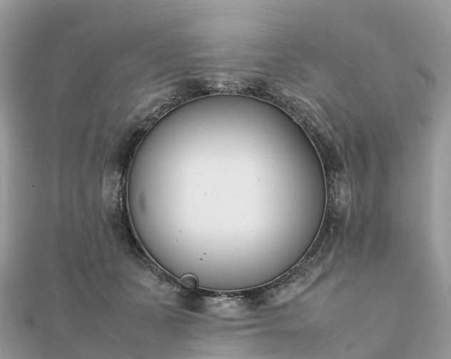 X0000111850511200907301113