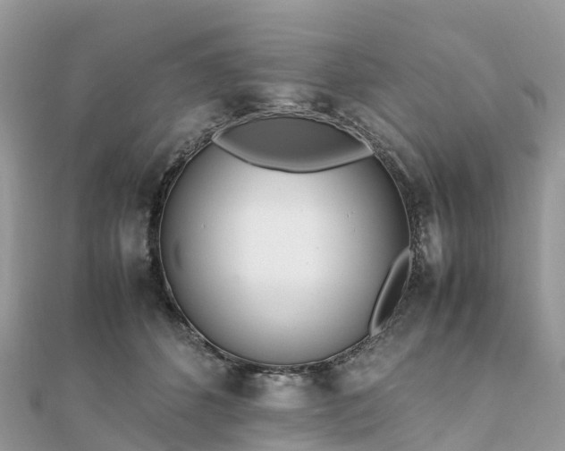 X0000111850512200907301113