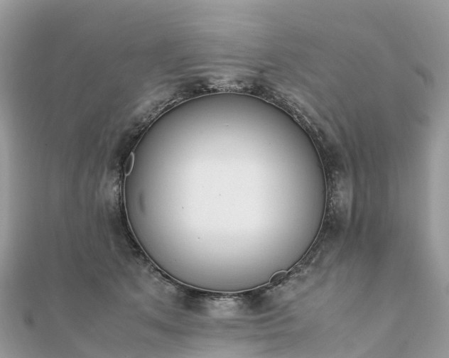 X0000111850513200907301113