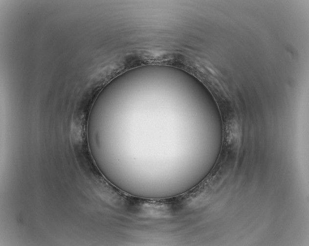 X0000111850515200907301113