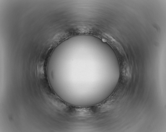 X0000111850516200907301113