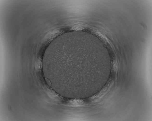 X0000111850517200907301113