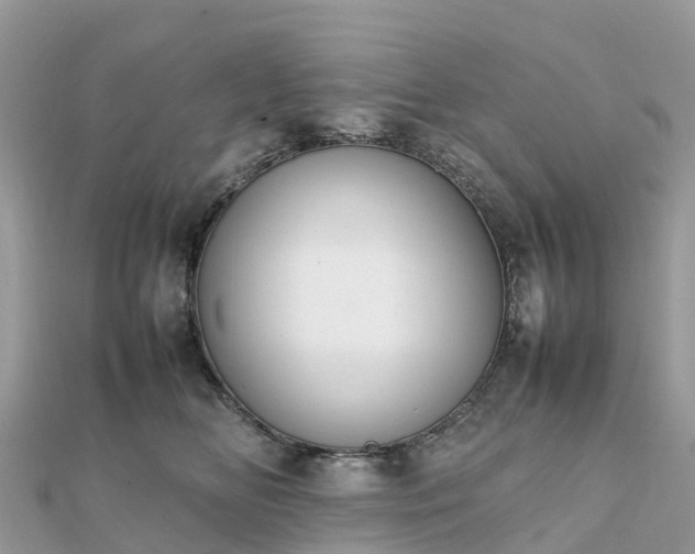 X0000111850518200907301113