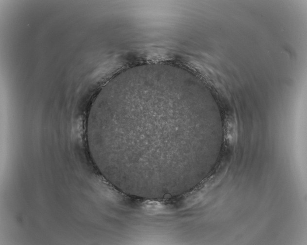 X0000111850519200907301113