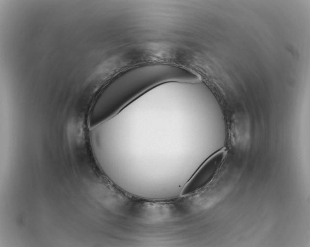 X0000111850520200907301113