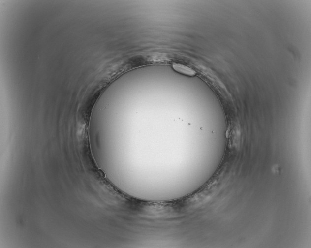 X0000111850521200907301113