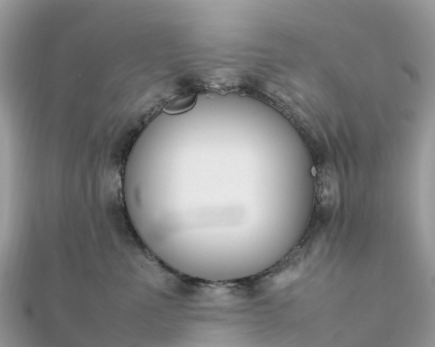 X0000111850523200907301113