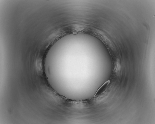 X0000111850524200907301113