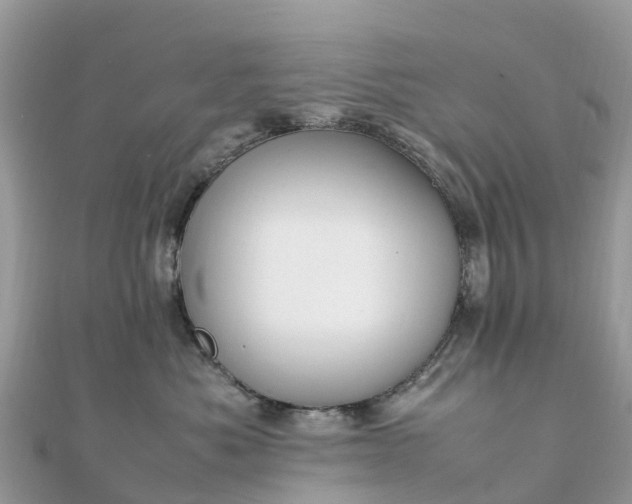 X0000111850525200907301113