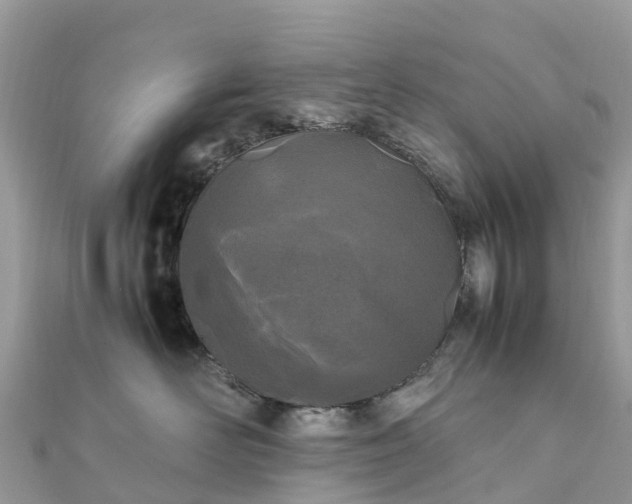 X0000111850526200907301113
