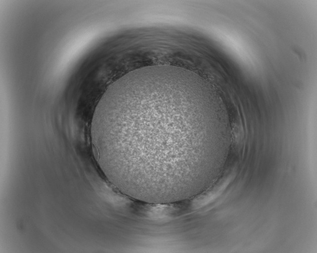 X0000111850527200907301113