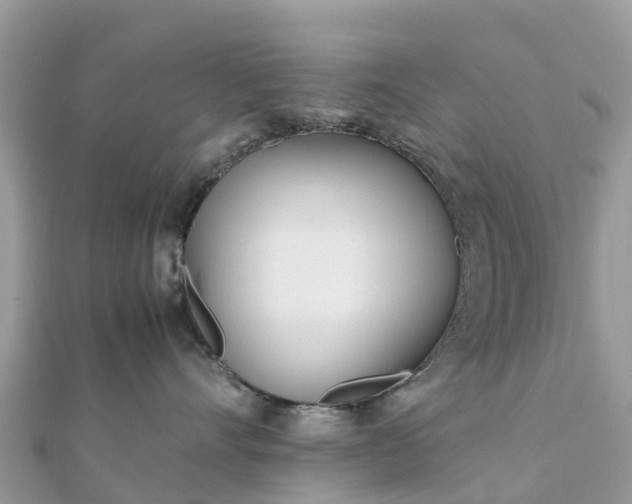 X0000111850528200907301113