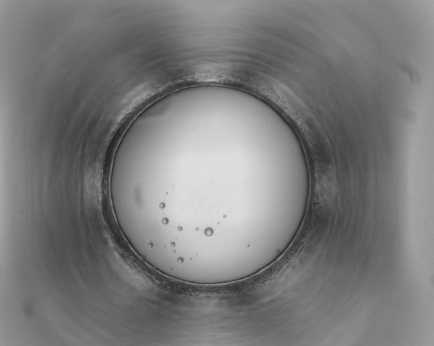 X0000111850530200907301112