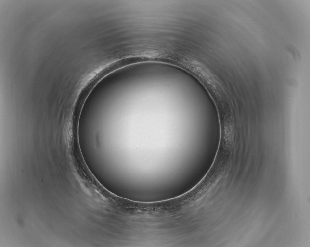X0000111850532200907301112