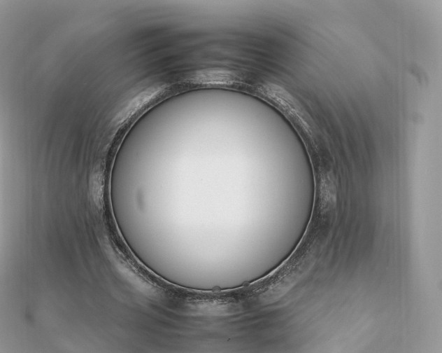 X0000111850533200907301112