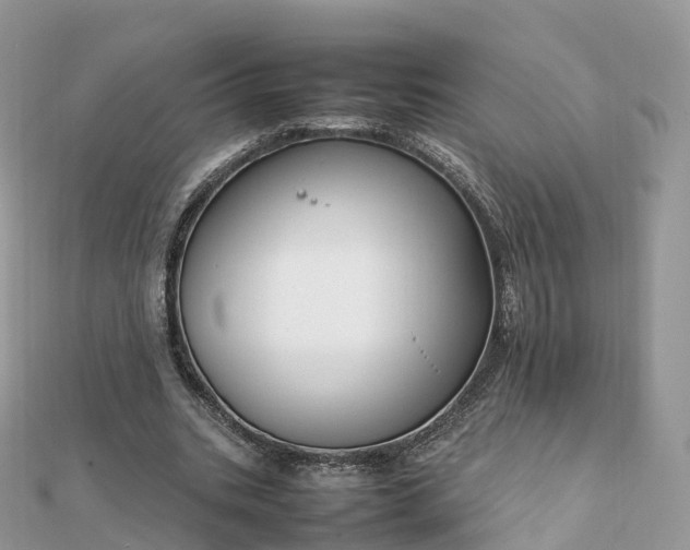 X0000111850535200907301112