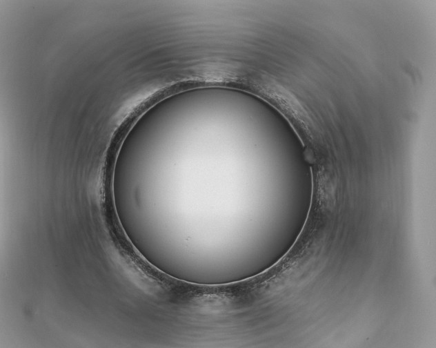 X0000111850536200907301112