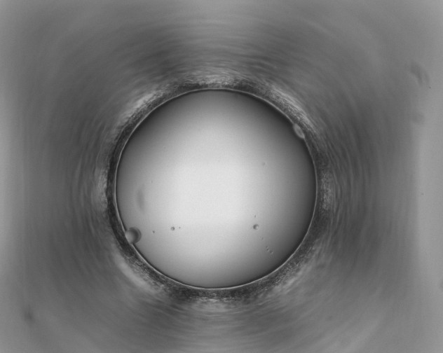X0000111850538200907301112
