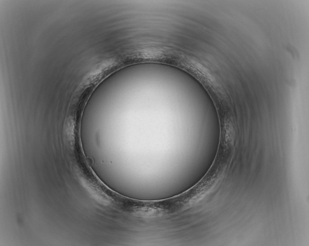 X0000111850542200907301112