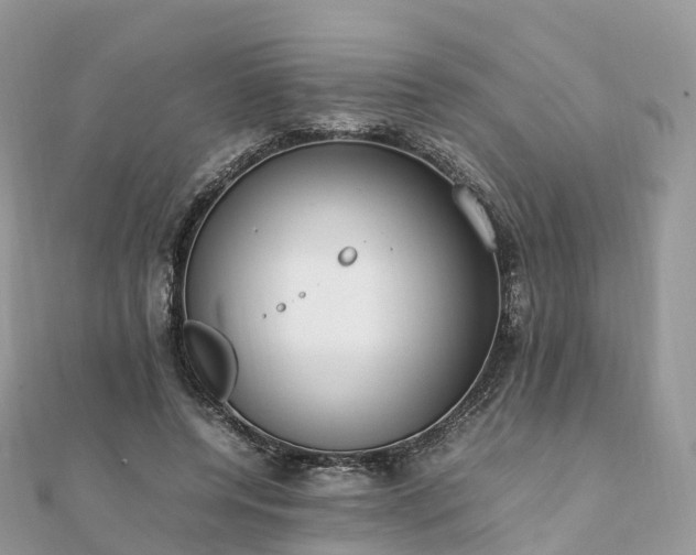 X0000111850544200907301113