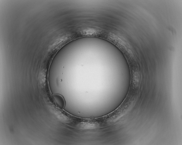 X0000111850545200907301113