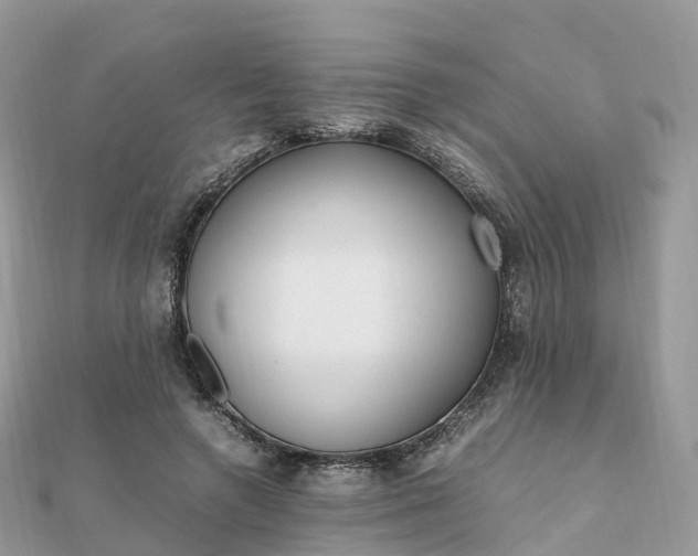 X0000111850546200907301113