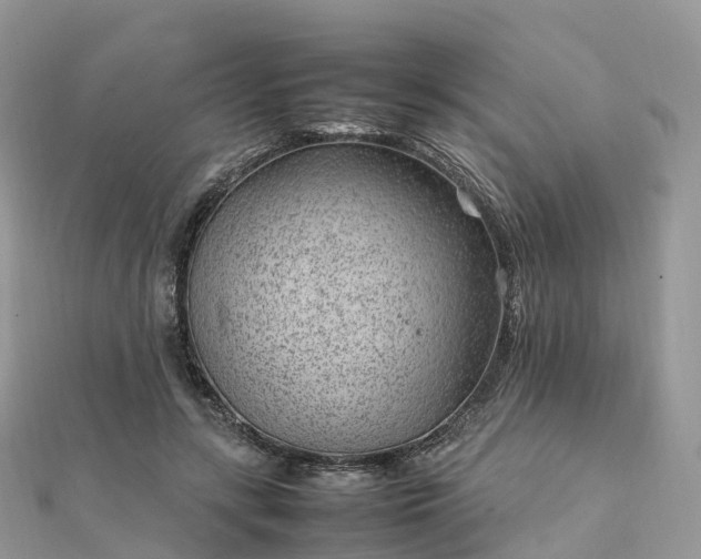 X0000111850547200907301113