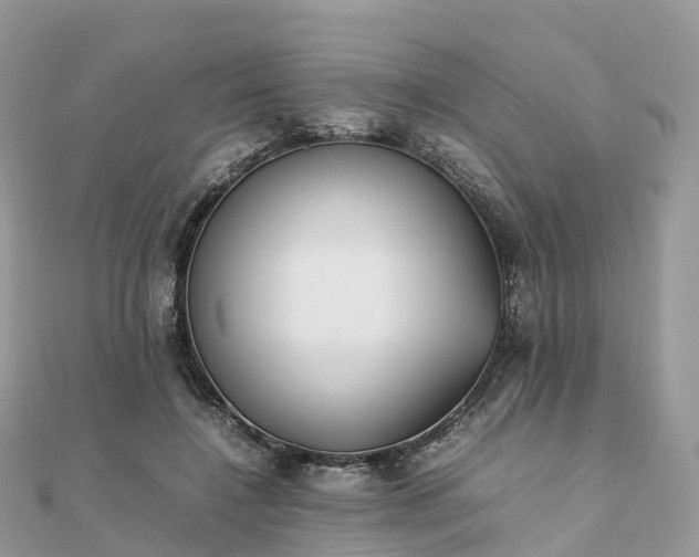 X0000111850548200907301113