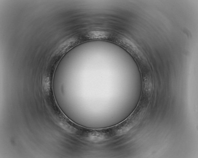 X0000111850549200907301113