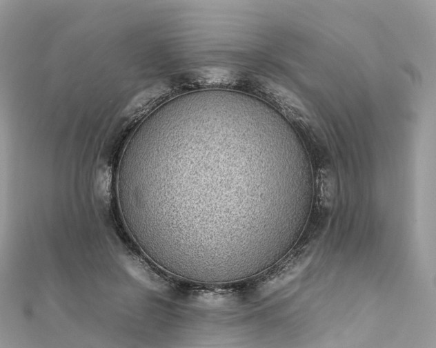 X0000111850550200907301113