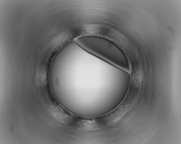 X0000111850552200907301113