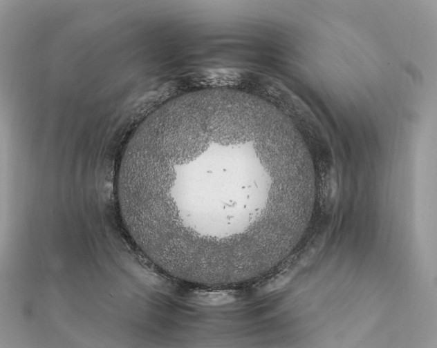 X0000111850553200907301113