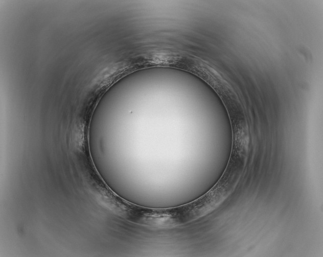 X0000111850554200907301113