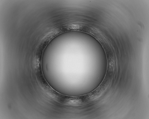 X0000111850555200907301113
