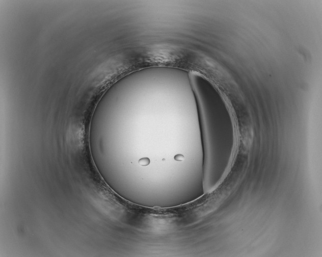 X0000111850556200907301113